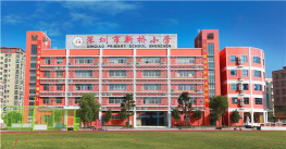 深圳市宝安区新桥小学环境