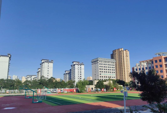 河西成功学校环境