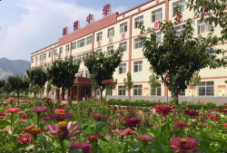 新蕾中学环境