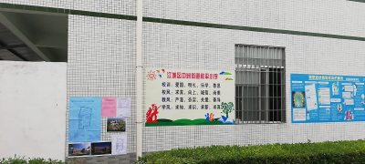 阳江市江城区中洲幼儿园环境