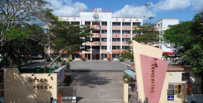 龙河镇中心小学环境