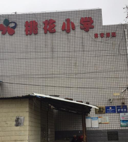长沙市雨花区桃花小学环境