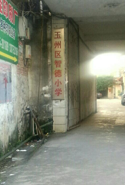 玉林市智德小学环境