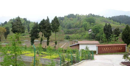 万州区长坪中心小学大树村小环境