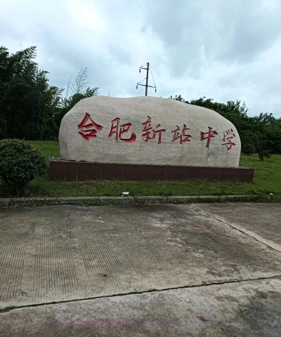 新站中学环境