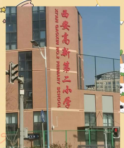 西安高新第二小学环境