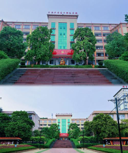 赤水镇民德中学环境
