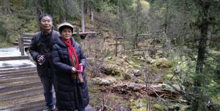 成都木综厂子弟校环境