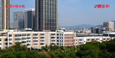 深圳市光明东周小学环境