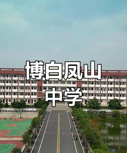 凤山中学环境