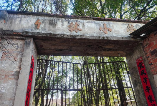 博爱县竹林学校环境