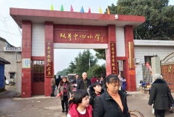 黄达咀双井中心小学环境