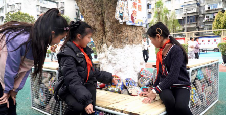 醴陵市南门小学环境