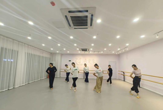 邹平鲁邹舞蹈培训学校有限公司环境