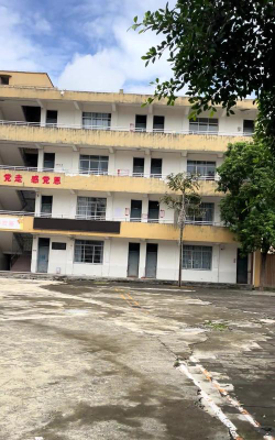 红花小学环境