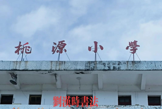 桃源小学环境