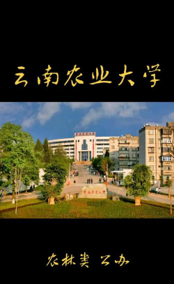 云南农业大学环境
