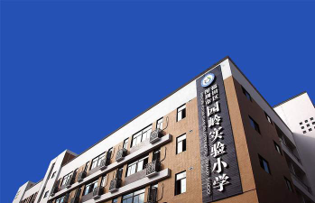 深圳市园岭实验小学环境