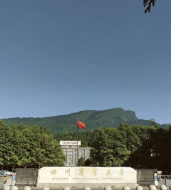 四川农业师范大学雅安校区环境