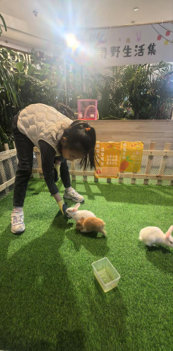 大亚湾区小白兔幼儿园环境