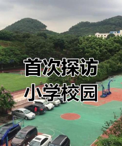茶山小学环境