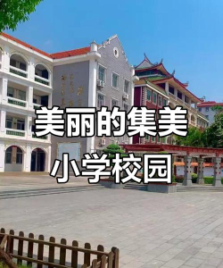 乐清市集美学校环境
