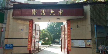 隆昌县龙市中学环境