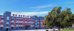 和静县第三小学环境