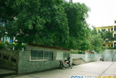 渠县土溪中学环境