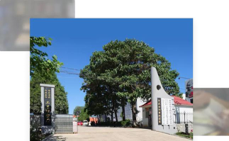 曲阳县雕刻学校环境