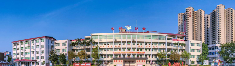 大埔县田家炳高级职业中学环境