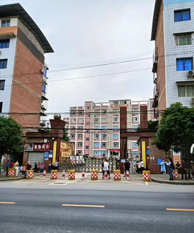 重庆市万州区高龙中学环境