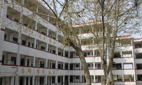 南京市孝陵卫中心小学环境