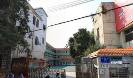 深圳坪山东门小学环境