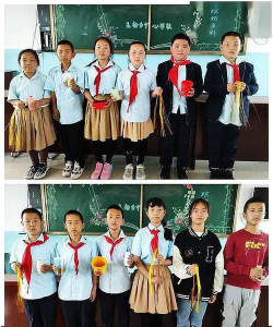 铁力市王杨乡中心校环境