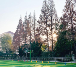 北新泾第三小学环境