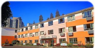 上海市徐汇区江南新村小学环境