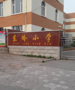 长春市南关区东岭小学环境