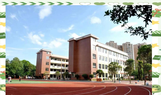 龙须塘小学环境
