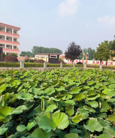 白羊中学环境