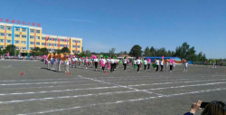 双辽市王奔镇中心小学校环境