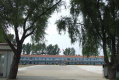 东丰县杨木林镇中心小学环境