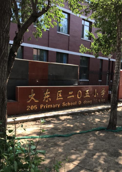 大东区二零五小学环境