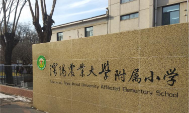 农业大学附属小学环境