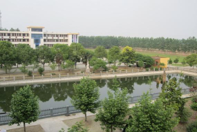 丰乐镇杨集中学环境