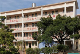 英德市下太学校环境