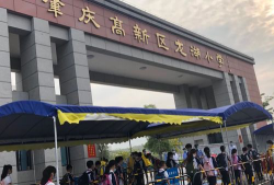 肇庆高新技术产业开发区龙湖小学环境