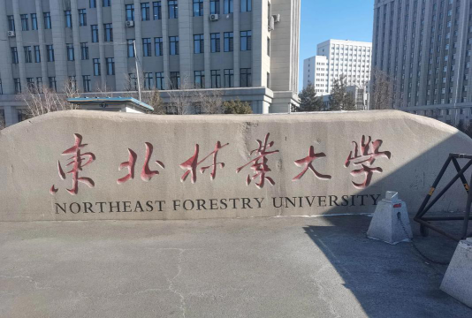 东北林业大学环境