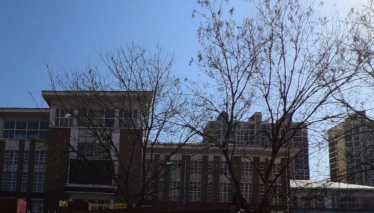 大连经济技术开发区滨海小学环境