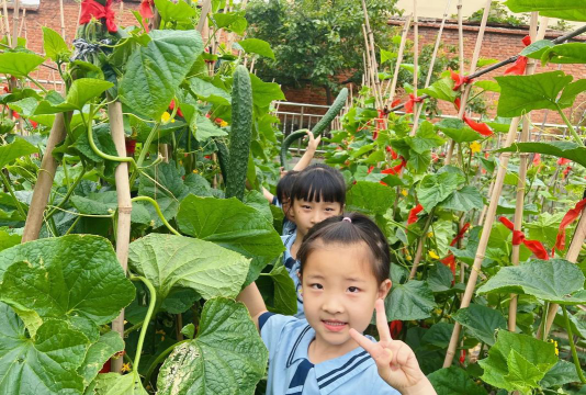 大同市蔬菜公司幼儿园环境